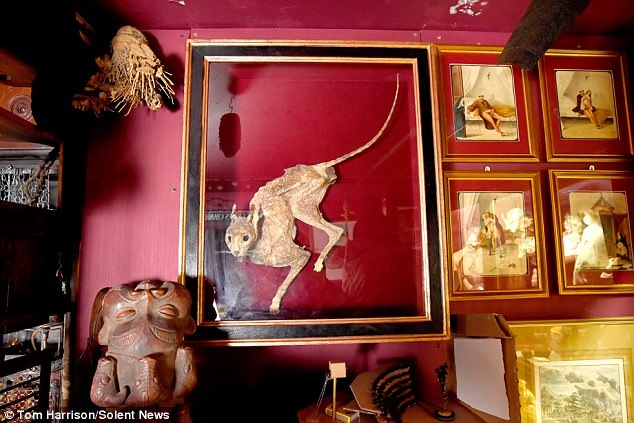 Bảo tàng quái dị ở Anh công bố “của quý” khổng lồ trị giá 3 tỷ VNĐ.