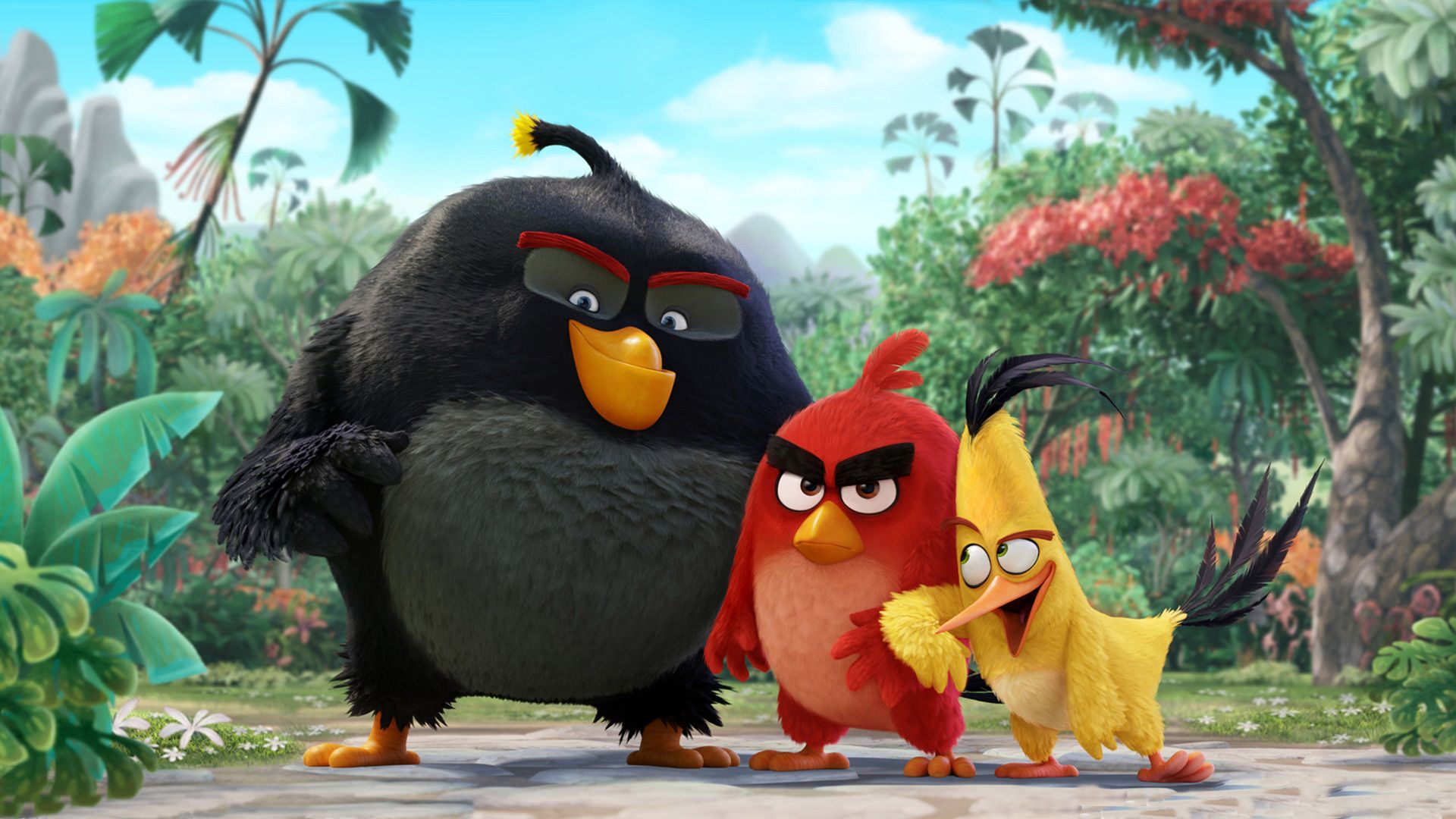 Hình nền hoạt hình Angry Birds 4k - Hình Nền Đẹp