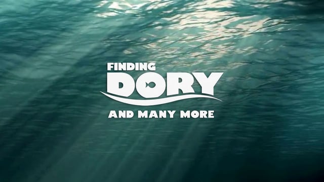 ‘Finding Dory’ – “Định nói gì mà quên rồi?”