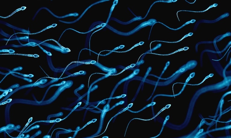 Khoa học: Thuốc tránh thai mới cho đàn ông, cứ thuận theo tự nhiên mà “làm”
