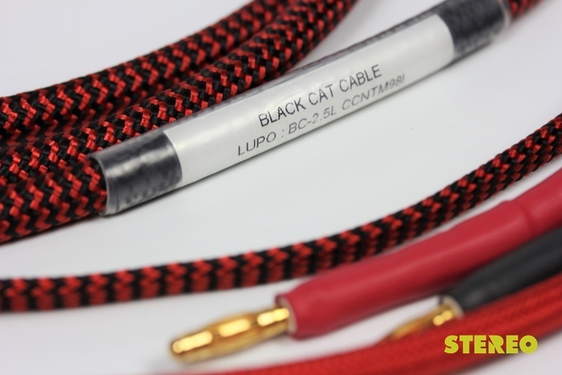 Kết nối tình yêu âm nhạc với dây dẫn Black Cat Cable