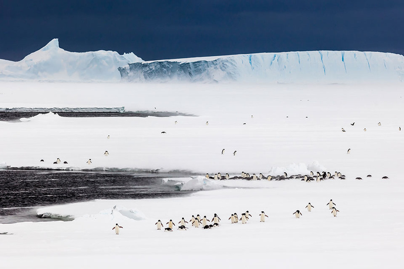 Sự tan chảy của dải băng ở Nam Cực có thể làm mực nước biển dâng lên thêm 3m