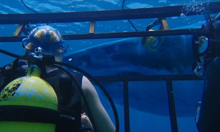 Nghẹt thở với trò chơi tử thần “ngắm cá mập” trong 47 Meters Down.