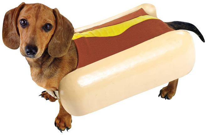 Rõ ràng là bánh mỳ kẹp xúc xích mà lại tên “hot dog”, vì sao vậy?